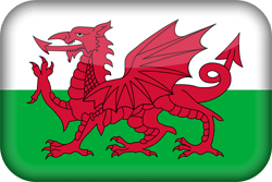 Flag of Wales - 3D