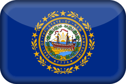 Flag of New Hampshire - 3D
