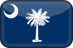Flag of South Carolina - 3D