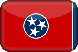 Flag of Tennessee - 3D