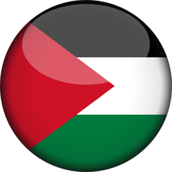 Flag of Palestine - 3D Round