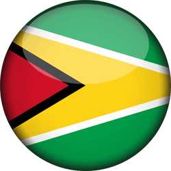 Flag of Guyana - 3D Round