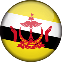 Flag of Brunei - 3D Round