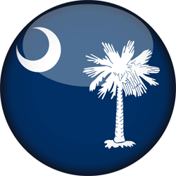 Flag of South Carolina - 3D Round