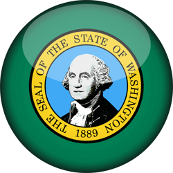 Flag of Washington - 3D Round