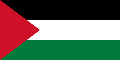 Flag of Palestine - Original