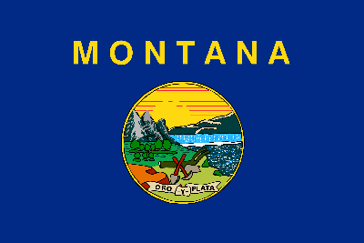 Flag of Montana - Original