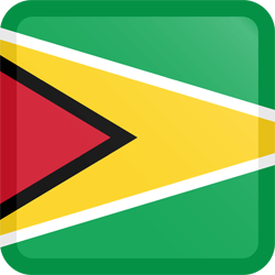 Flag of Guyana - Button Square