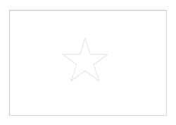 Flag of Vietnam - A4