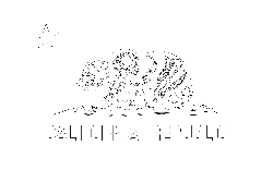 Flag of California - A4