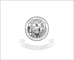 Vlag van Idaho - A4