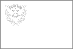 Vlag van Nevada - A4