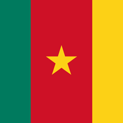 Flag of Cameroon