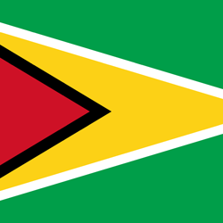 Flag of Guyana