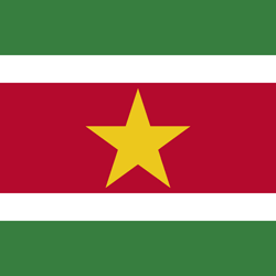 Flag of Suriname