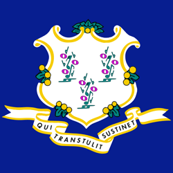 Connecticut flag icon