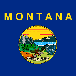 Montana flag icon