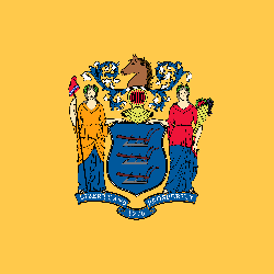 New Jersey flag icon