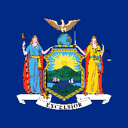 New York flag icon
