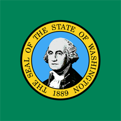 Washington flag icon