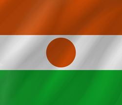 Flag of Niger - Wave