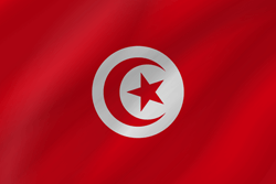 Flag of Tunisia - Wave