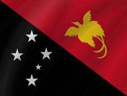 Flag of Papua New Guinea - Wave