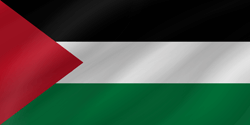 Flag of Palestine - Wave