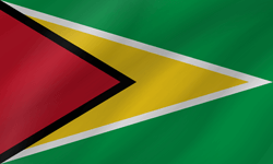 Flag of Guyana - Wave