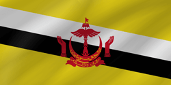 Flag of Brunei - Wave