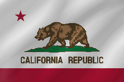 Flag of California - Wave