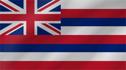 Flag of Hawaii - Wave