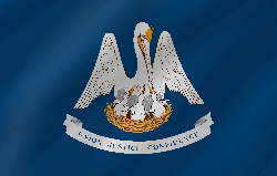 Flag of Louisiana - Wave