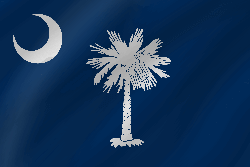 Flag of South Carolina - Wave