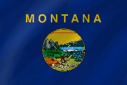 Flag of Montana - Wave