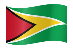 Flag of Guyana - Waving