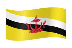 Flag of Brunei - Waving