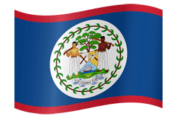 Flag of Belize - Waving