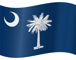 Flag of South Carolina - Waving