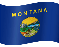 Flag of Montana - Waving