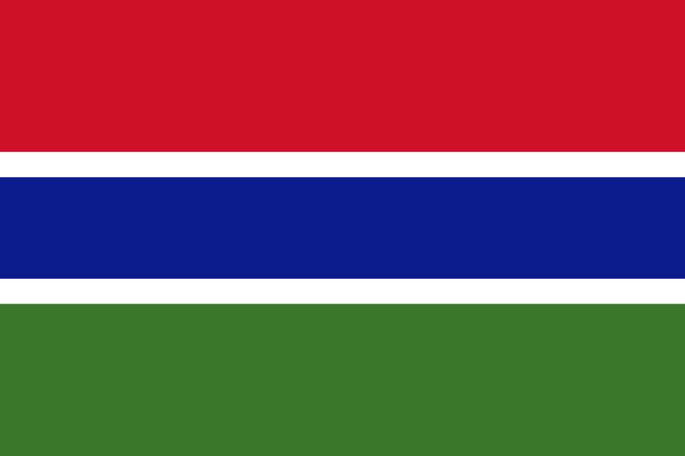 Flag of Gambia, the